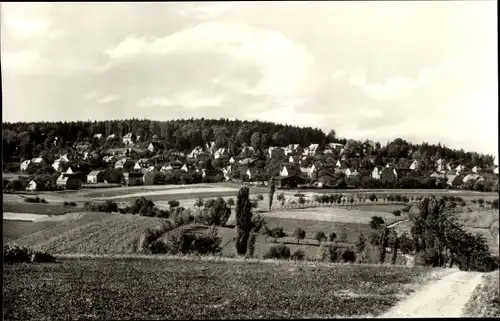 Ak Hartha Hintergersdorf Tharandt im Erzgebirge, Ortsansicht