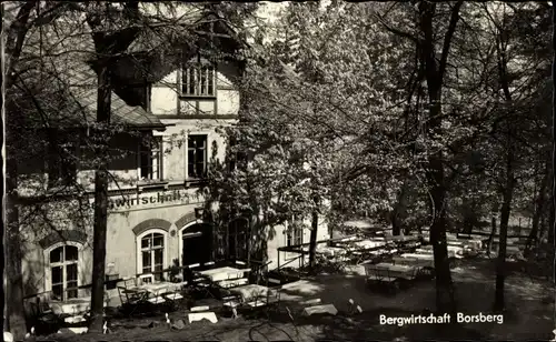 Ak Dresden Schönfeld Weißig Borsberg, Bergwirtschaft, Terrasse