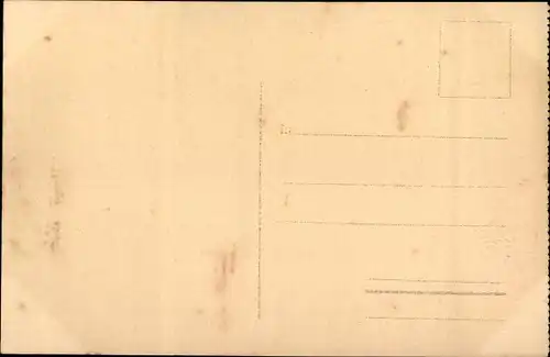 Ak Dahomey Benin, Moyen Niger, Un champ d'Ananas Parakou