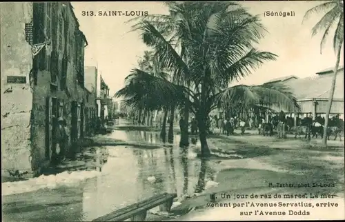 Ak Saint Louis Senegal, Un jour de raz de maree, La mer venant par l'Avenue Servatius