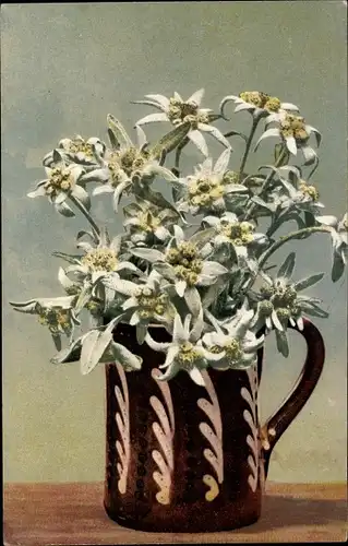 Ak Nenke und Ostermaier 517 870, Photochromie, Edelweiß