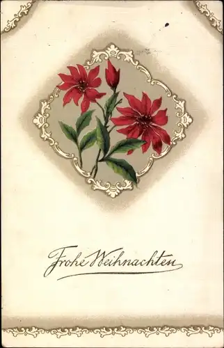 Ak Glückwunsch Weihnachten, Rote Blüten, Weihnachtsstern