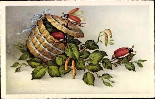 Ak Maikäfer, Haselnussbaumzweige, Truhe mit Schleife