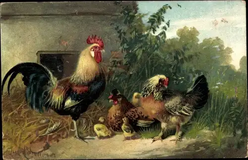 Künstler Ak Hühner-Familie, Hahn, Küken, Bauernhof