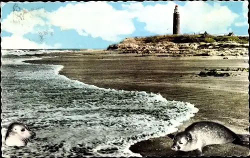 Ak Texel Nordholland Niederlande, Vuurtoren met zeehonden, Robben, Leuchtturm