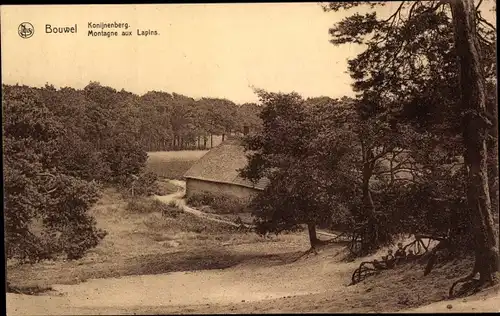 Ak Bouwel Flandern Antwerpen, Montagne aux Lapins