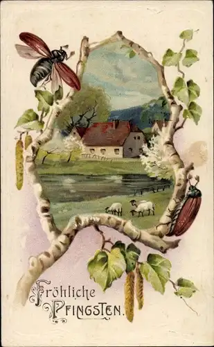 Präge Ak Glückwunsch Pfingsten, Maikäfer an der Birke, Dorfpartie, Schafe
