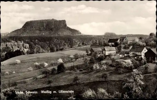 Ak Weißig Struppen Sächsische Schweiz, Ortspartie m. Lilienstein