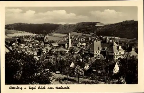 Ak Elsterberg an der Weißen Elster Vogtland, Panorama vom Stadtwald aus