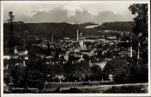 Ak Waldheim in Sachsen, Panorama