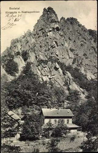 Ak Thale im Harz, Bodetal, Königsruhe mit Rosstrappenfelsen
