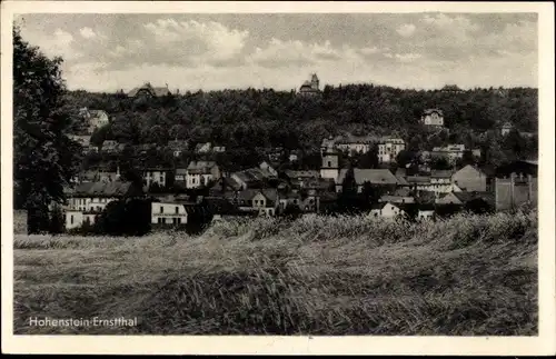 Ak Hohenstein Ernstthal Sachsen, Panorama