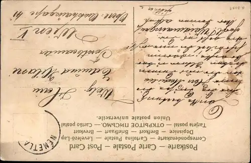 Ak Vögel, Jagdbeute, Enge, Tannenzweige