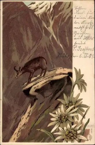 Litho Bergziege, Berglandschaft, Edelweiß