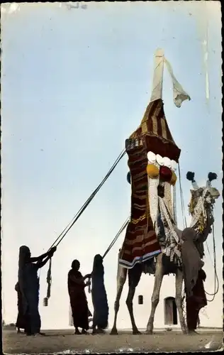 Ak L'Afrique en Couleurs, Mariage Maure