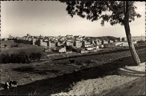 Ak Avila Kastilien León, Vista general, Totalansicht