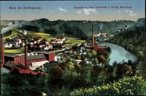 Ak Kriebstein in Sachsen, Burg Kriebstein, Schloss Ehrenburg, Kriebetal, Zschopautal