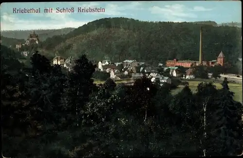 Ak Kriebstein in Mittelsachsen, Burg Kriebstein, Schloss, Kriebethal