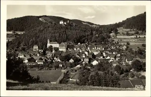 Ak Leutenberg in Thüringen, Panorama