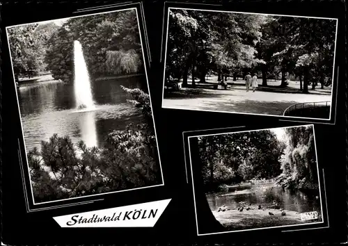 Ak Köln am Rhein, Stadtwald, Springbrunnen, Spaziergänger