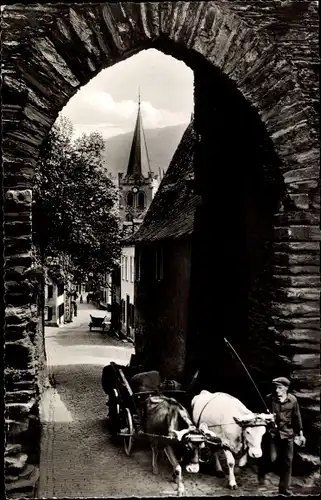 Ak Bacharach am Rhein, Steeger Tor, Ochsenkarren