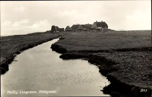 Ak Hallig Langeneß Langeness Nordfriesland, Hilligenlei
