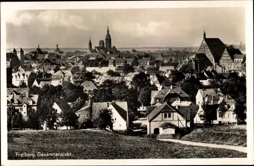 Ak Freiberg in Sachsen, Panorama