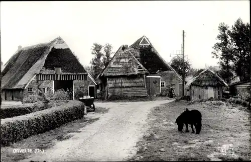 Ak Orvelte Midden Drenthe Niederlande, Bauernhof