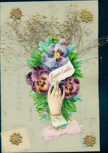 Zelluloid Ak Souvenir d'Amitie, Blumen, Stiefmütterchen, Frauenhand, Echte Pflanze