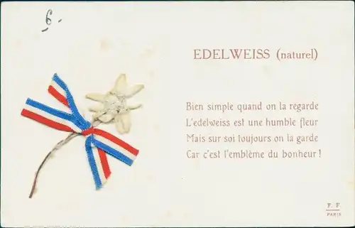 Stoff Ak Edelweiß, Bien simple quand on la regarde, L'edelweiss est une humble fleur...