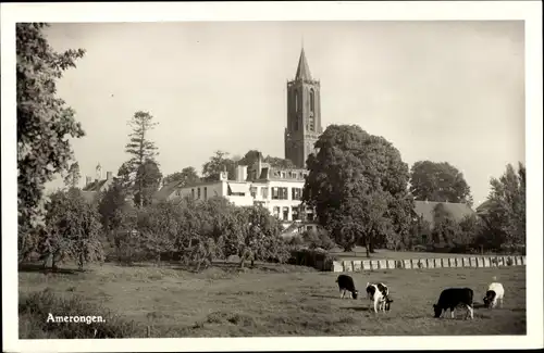 Ak Amerongen Utrecht Niederlande, Blick auf den Ort, Kühe, Wiese
