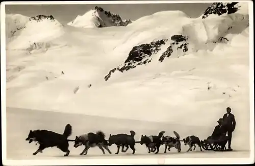Ak Jungfraujoch, Polarhunde auf dem Aletschgletscher