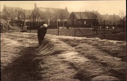 Ak Le rouissage sur pres des lins moyens, Bauer, Flachs, Landwirtschaft, Wohnhäuser