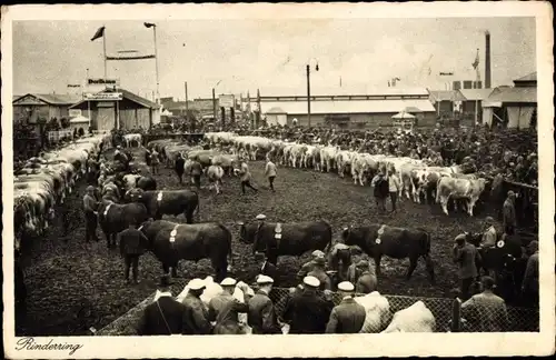 Ak München, 35. Landwirtschaftliche Wanderausstellung 1929, Rinderring