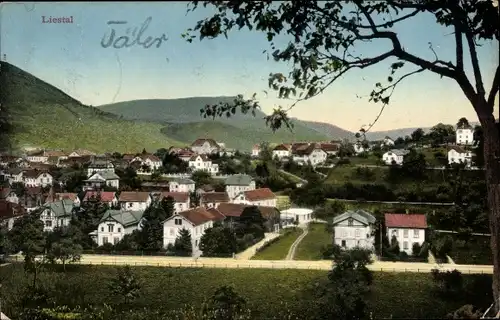 Ak Liestal Kanton Basel Land Schweiz, Gesamtansicht