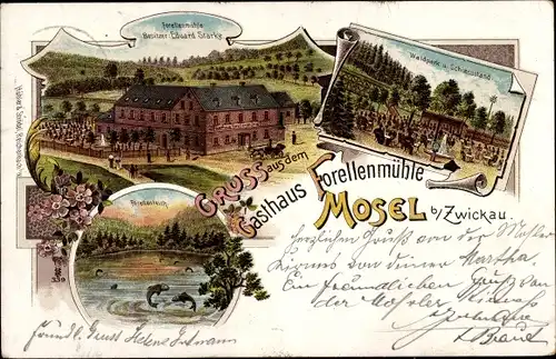 Litho Mosel Zwickau in Sachsen, Forellenmühle, Bes. Eduard Starke, Waldpark, Forellenteich