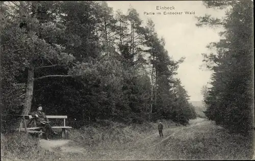 Ak Einbeck in Niedersachsen, Im Einbecker Wald