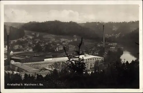 Ak Kriebethal Kriebstein Mittelsachsen, Teilansicht