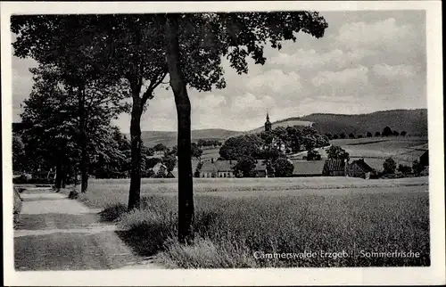 Ak Cämmerswalde Neuhausen Erzgebirge, Wegpartie mit Blick auf die Ortschaft