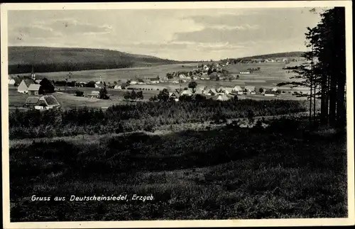 Ak Deutscheinsiedel Deutschneudorf im Erzgebirge, Panorama