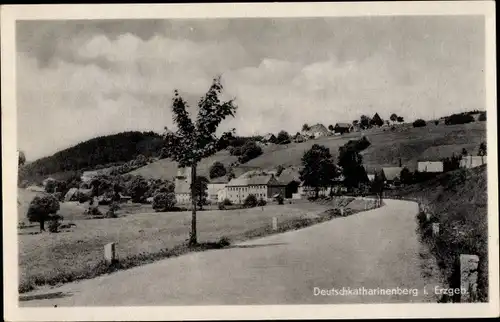 Ak Deutschkatharinenberg Deutschneudorf im Erzgebirge, Ortsansicht