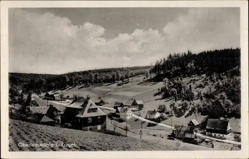 Ak Oberlochmühle Deutschneudorf im Erzgebirge, Panorama