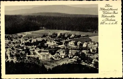 Ak Hahnenklee Bockswiese Goslar im Harz, Waldsee, Panorama