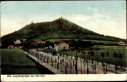 Ak Görlitz in der Lausitz, Landeskrone, Panorama