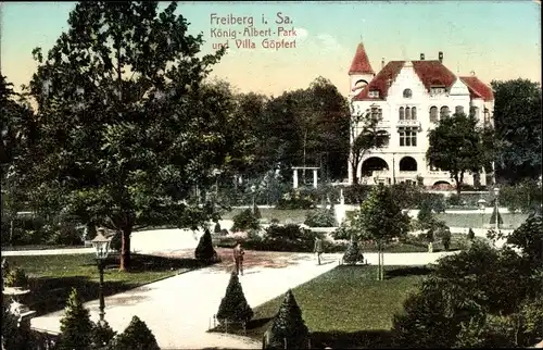Ak Freiberg in Sachsen, König Albert Park und Villa Göpfert