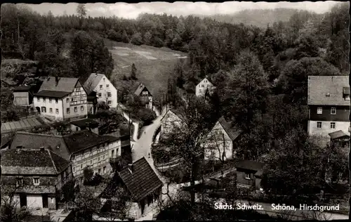 Ak Schöna Sächsische Schweiz, Hirschgrund