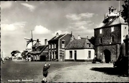 Ak Harderwijk Gelderland, Boulevard, Windmühle