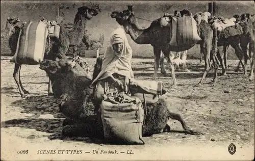Ak Algerien, Scènes et Types, Un Fondouck, Kamelkarawane