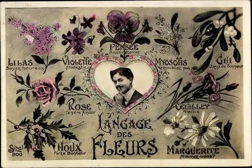 Ak Langage des Fleurs, Blumensprache, Rose Tendre Amour, Houx Porte Bonheur