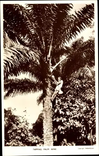Ak Tapping Palm Wine, Afrikaner klettert einen Baum hoch